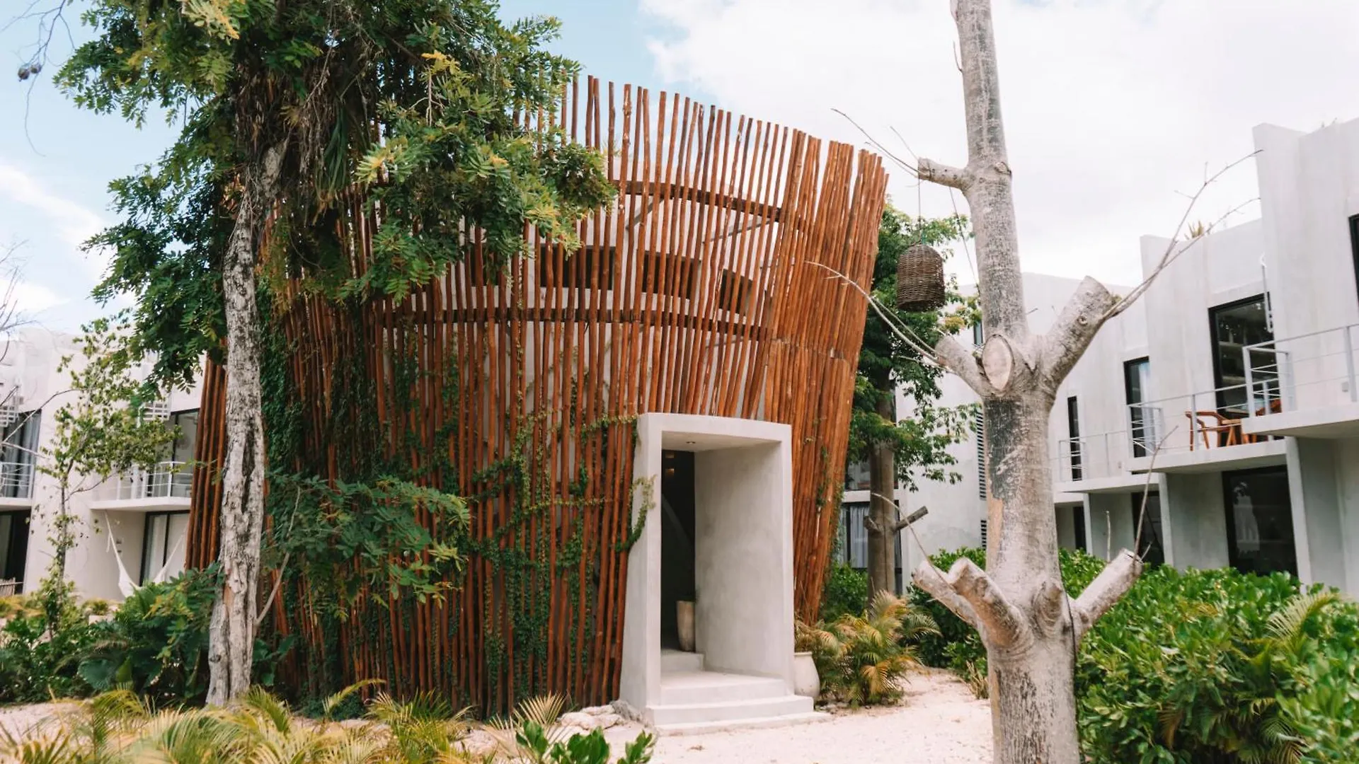 Seremonia Selva By Dream Vacay Tulum