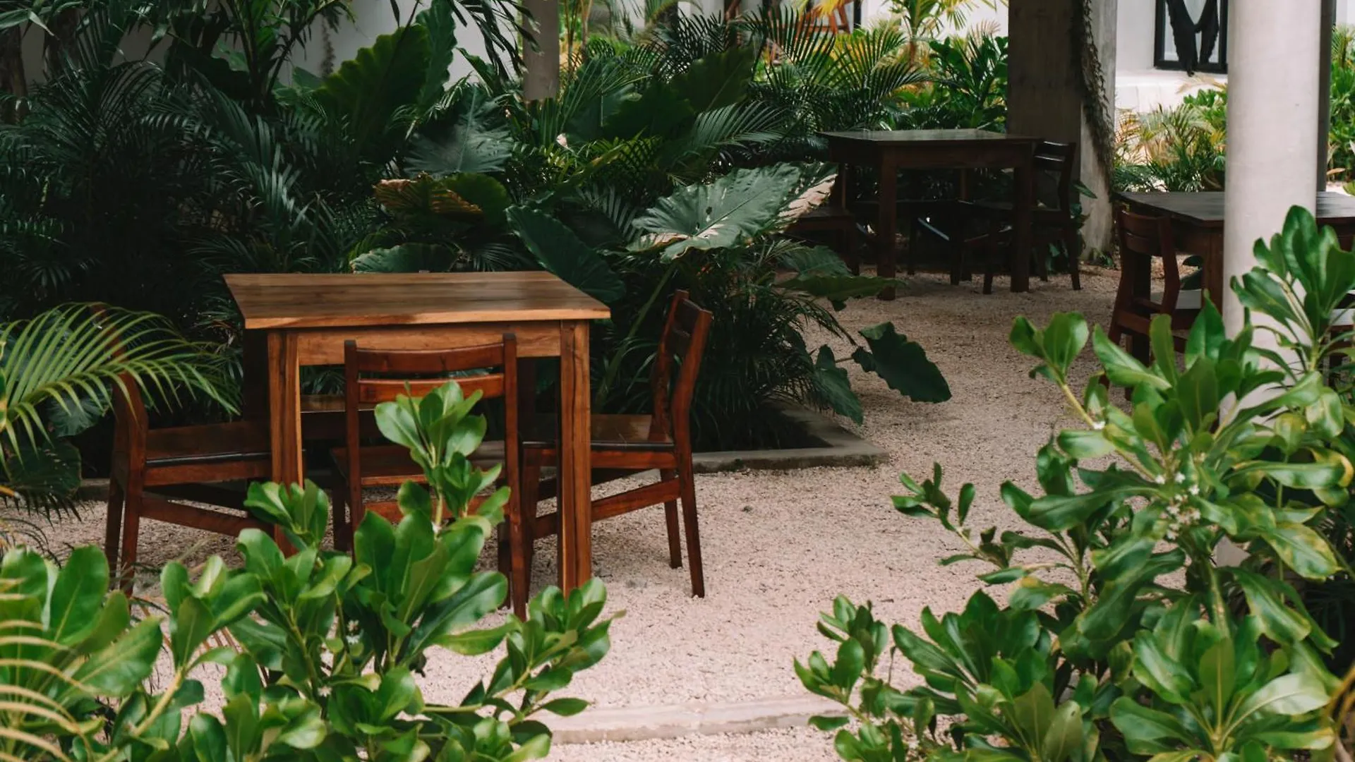Seremonia Selva By Dream Vacay Tulum