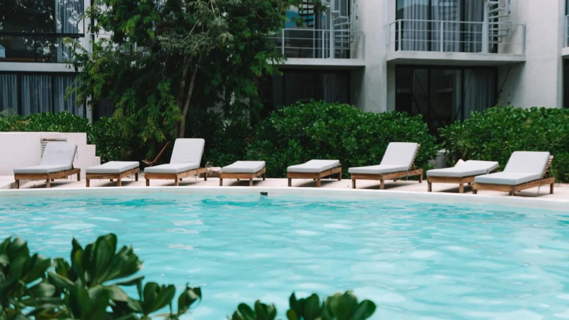 Seremonia Selva By Dream Vacay Tulum